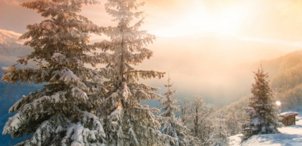 Winter Dawn