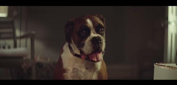 bounce john lewis christmas ad 2016